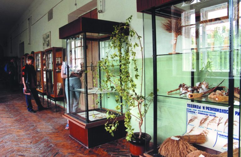 Ботанические коллекции, 2002 г.