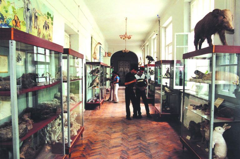 Зоологическая коллекция, 2002 г.