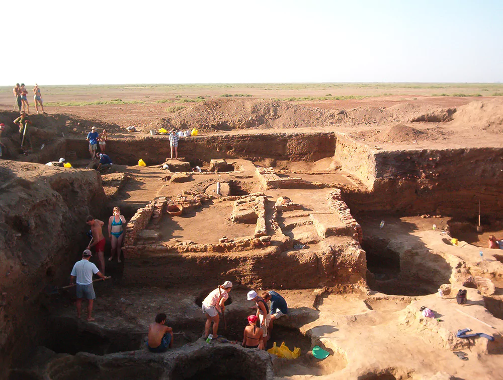  истфака на археологических раскопках